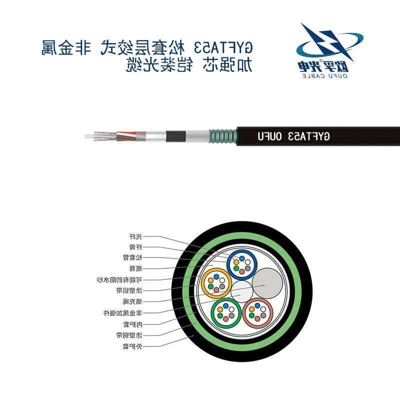 安阳市GYFTA53光缆